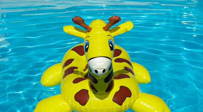 Know More About Your Pool’s Most Hardworking Know More About Your Pool’s Most Hardworking