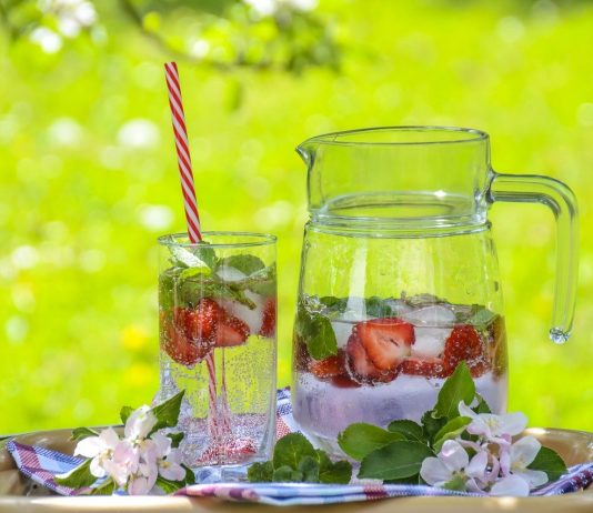 A holiday in the garden