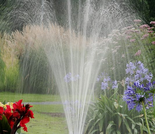 Let’s think about watering in advance Let's think about watering in advance