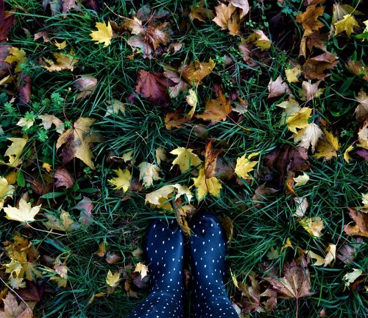 The best garden shoes The best garden shoes