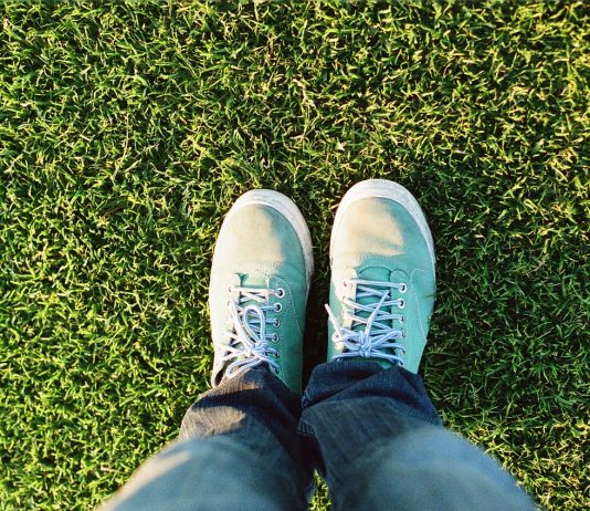 Lawn from scratch: important tips Lawn from scratch: important tips