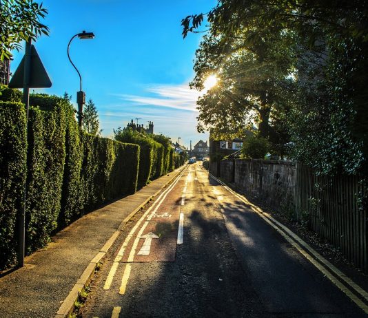 Would you like to have a beautiful and healthy garden? Would you like to have a beautiful and healthy garden?