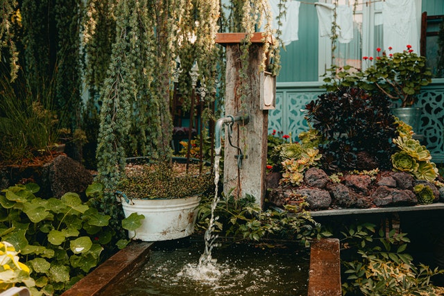 garden pond