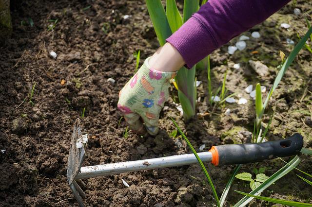 Garden planting