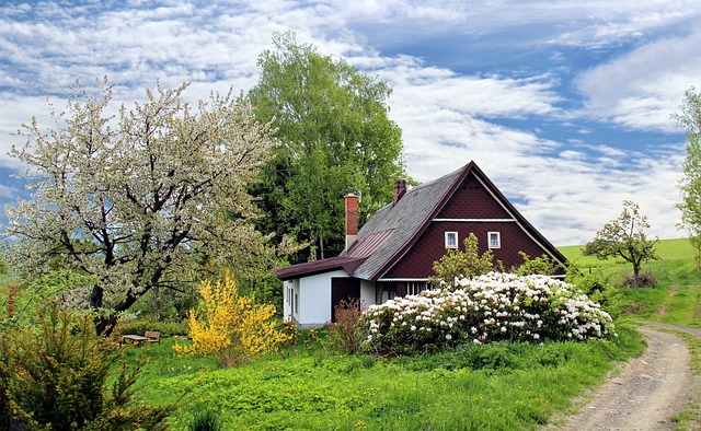 house with colorful garden