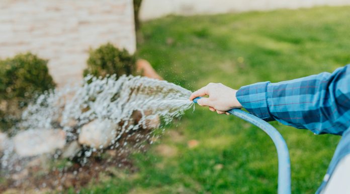 Water Supply in Your Garden a-person-is-spraying-water-from-a-hose