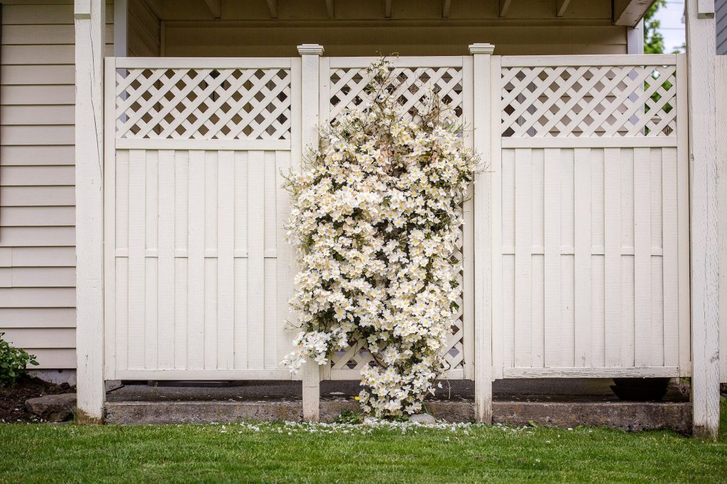 white wooden fence