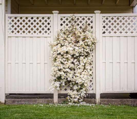 Essential Garden Tips from a Fencing Expert white wooden fence