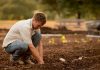 Spring Is Around the Corner – Is Your Garden Ready? man-in-white-shirt-planting-at-daytime