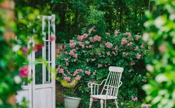 How Can a Simple Planter Turn Your Backyard Into a Pinterest-Worthy Escape? a-white-chair-sits-in-a-beautiful-garden