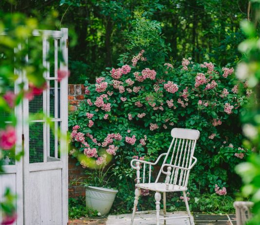 How Can a Simple Planter Turn Your Backyard Into a Pinterest-Worthy Escape? a-white-chair-sits-in-a-beautiful-garden